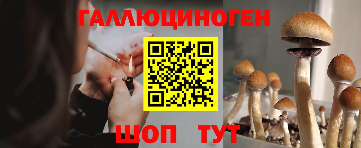 Галлюциногенные грибы Psilocybine cubensis  Галлюциногенные грибы мицелий  купить  сайты  Чита  Вход с VPN 